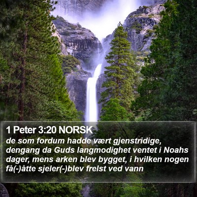1 Peter 3:20 NORSK Bible Verse Image