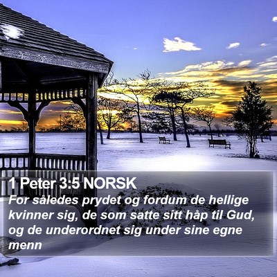 1 Peter 3:5 NORSK Bible Verse Image