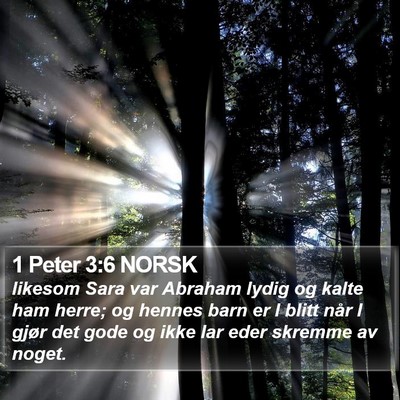 1 Peter 3:6 NORSK Bible Verse Image
