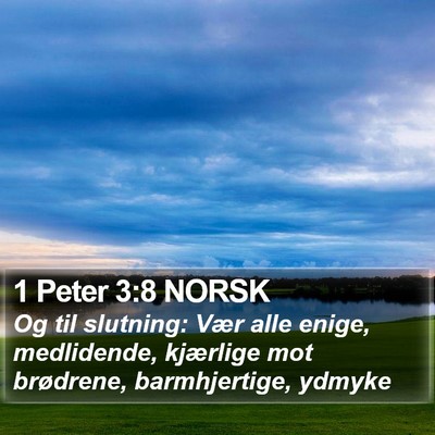 1 Peter 3:8 NORSK Bible Verse Image