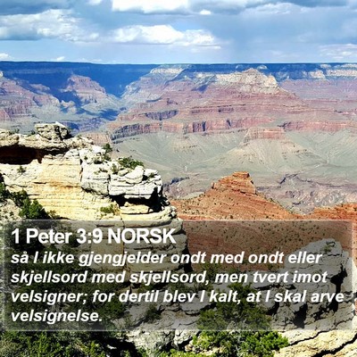 1 Peter 3:9 NORSK Bible Verse Image