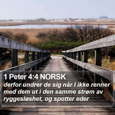 1 Peter 4:4 NORSK Bible Verse Image