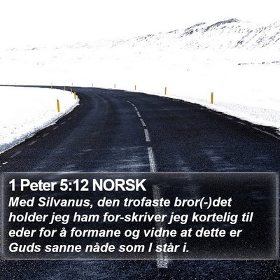 1 Peter 5:12 NORSK Bible Verse Image
