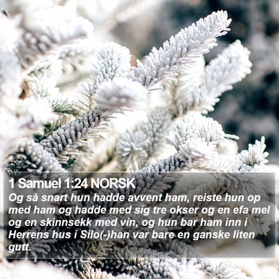 1 Samuel 1:24 NORSK Bible Verse Image