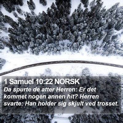 1 Samuel 10:22 NORSK Bible Verse Image