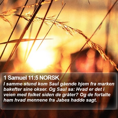 1 Samuel 11:5 NORSK Bible Verse Image