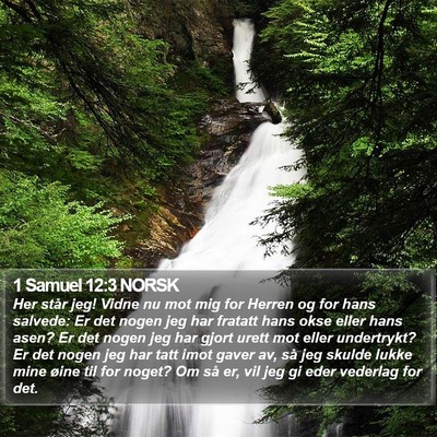 1 Samuel 12:3 NORSK Bible Verse Image