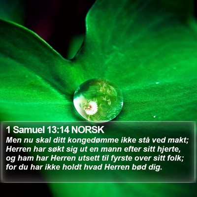 1 Samuel 13:14 NORSK Bible Verse Image