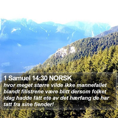 1 Samuel 14:30 NORSK Bible Verse Image