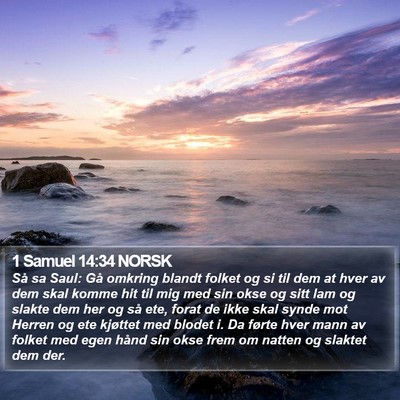 1 Samuel 14:34 NORSK Bible Verse Image