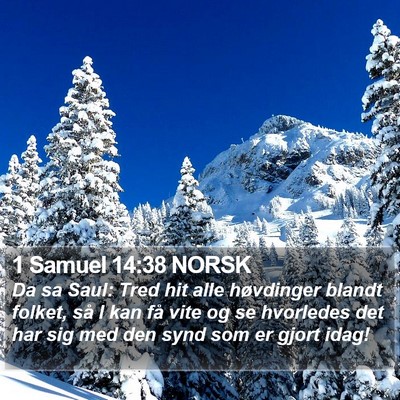 1 Samuel 14:38 NORSK Bible Verse Image