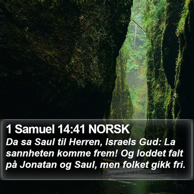 1 Samuel 14:41 NORSK Bible Verse Image