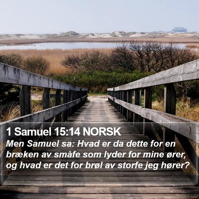 1 Samuel 15:14 NORSK Bible Verse Image