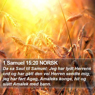 1 Samuel 15:20 NORSK Bible Verse Image