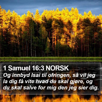 1 Samuel 16:3 NORSK Bible Verse Image