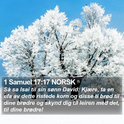1 Samuel 17:17 NORSK Bible Verse Image