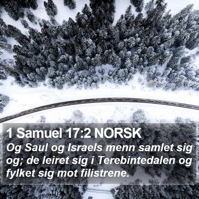 1 Samuel 17:2 NORSK Bible Verse Image