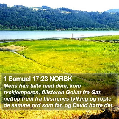 1 Samuel 17:23 NORSK Bible Verse Image