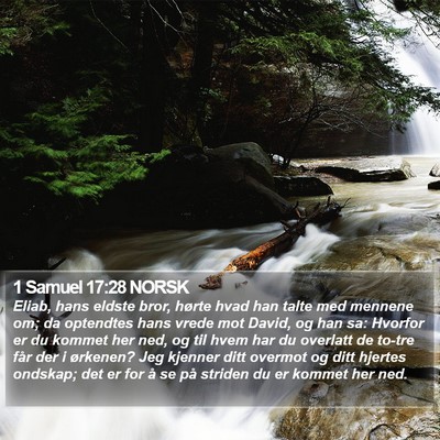 1 Samuel 17:28 NORSK Bible Verse Image