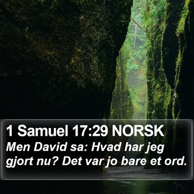 1 Samuel 17:29 NORSK Bible Verse Image