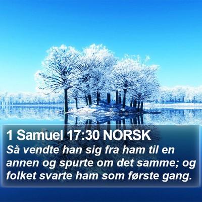 1 Samuel 17:30 NORSK Bible Verse Image