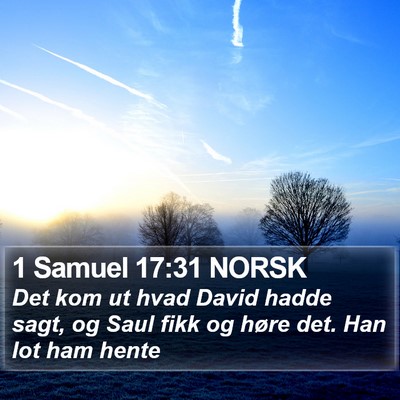 1 Samuel 17:31 NORSK Bible Verse Image