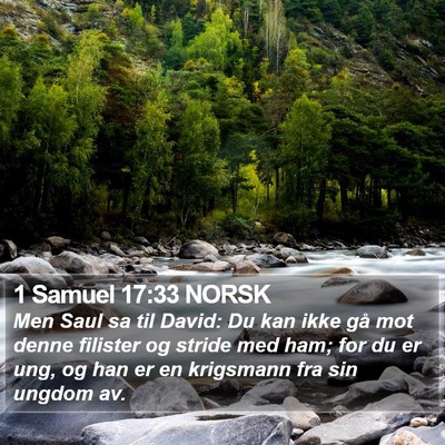 1 Samuel 17:33 NORSK Bible Verse Image