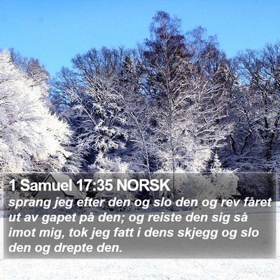 1 Samuel 17:35 NORSK Bible Verse Image