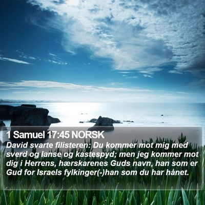 1 Samuel 17:45 NORSK Bible Verse Image