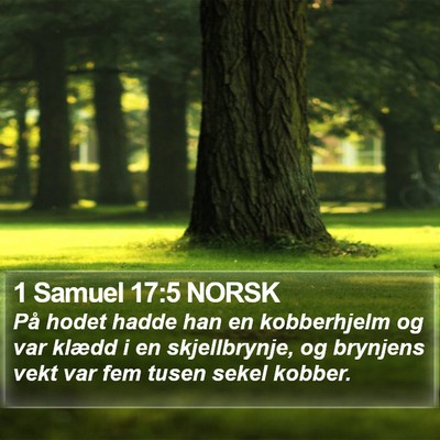 1 Samuel 17:5 NORSK Bible Verse Image