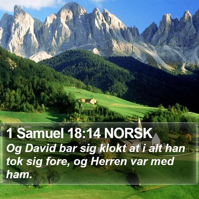 1 Samuel 18:14 NORSK Bible Verse Image