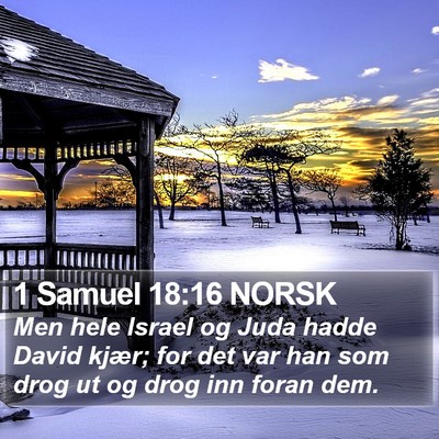 1 Samuel 18:16 NORSK Bible Verse Image