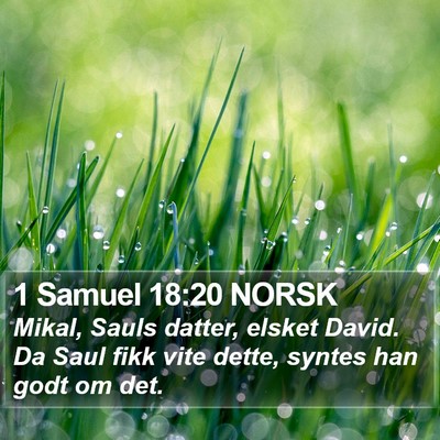 1 Samuel 18:20 NORSK Bible Verse Image