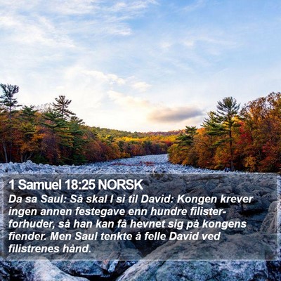 1 Samuel 18:25 NORSK Bible Verse Image