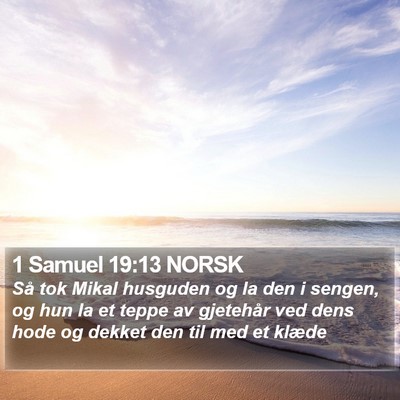 1 Samuel 19:13 NORSK Bible Verse Image
