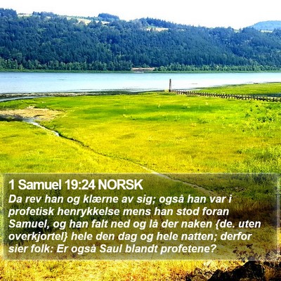 1 Samuel 19:24 NORSK Bible Verse Image