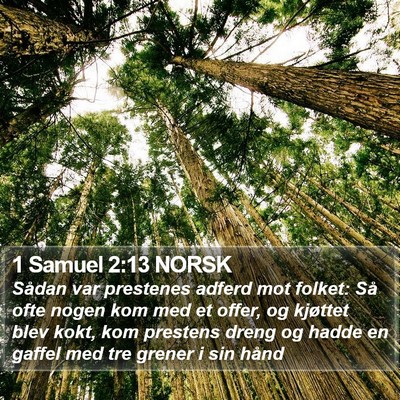 1 Samuel 2:13 NORSK Bible Verse Image