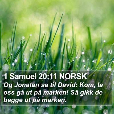 1 Samuel 20:11 NORSK Bible Verse Image