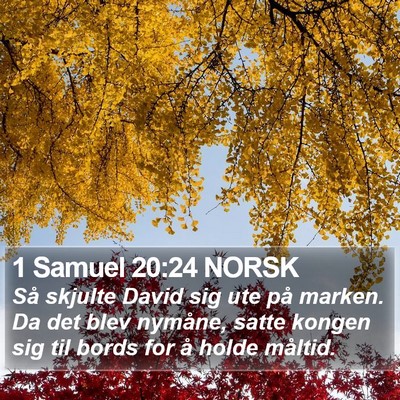 1 Samuel 20:24 NORSK Bible Verse Image