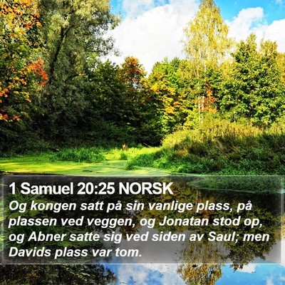 1 Samuel 20:25 NORSK Bible Verse Image