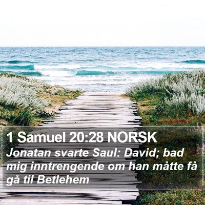 1 Samuel 20:28 NORSK Bible Verse Image