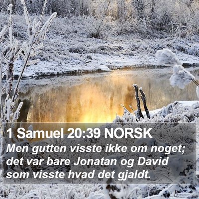 1 Samuel 20:39 NORSK Bible Verse Image