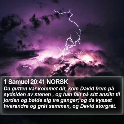 1 Samuel 20:41 NORSK Bible Verse Image
