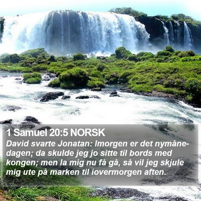 1 Samuel 20:5 NORSK Bible Verse Image