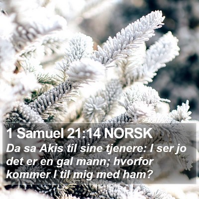 1 Samuel 21:14 NORSK Bible Verse Image
