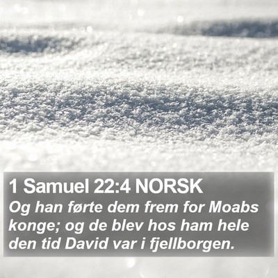 1 Samuel 22:4 NORSK Bible Verse Image