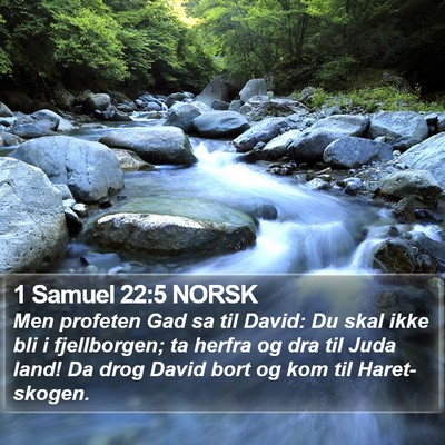 1 Samuel 22:5 NORSK Bible Verse Image
