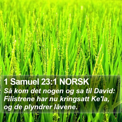1 Samuel 23:1 NORSK Bible Verse Image