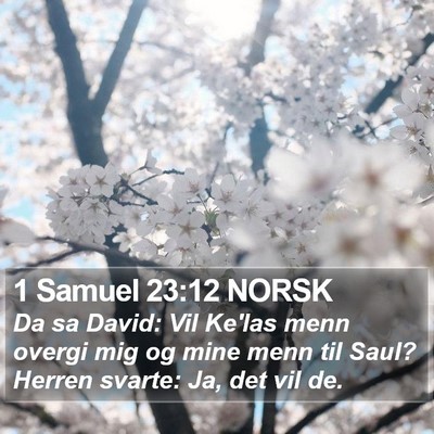 1 Samuel 23:12 NORSK Bible Verse Image