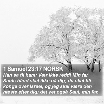 1 Samuel 23:17 NORSK Bible Verse Image